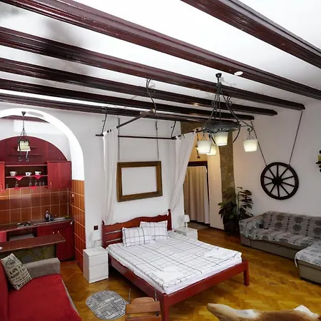 Pensiunea Noemi Guest house