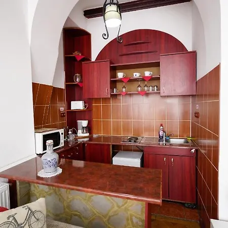Pensiunea Noemi Guest house *