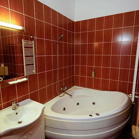 Pensiunea Noemi Guest house *