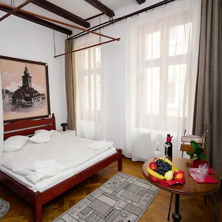 Guest house Pensiunea Noemi