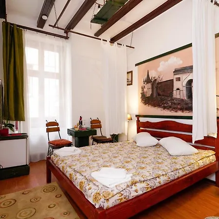 Pensiunea Noemi Guest house Brasov