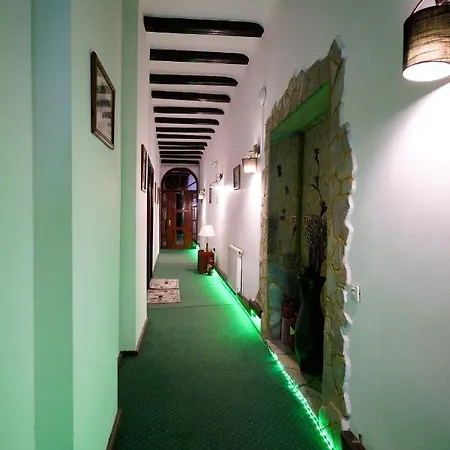 Pensiunea Noemi Guest house *