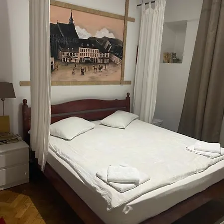 Pensiunea Noemi Guest house Brasov